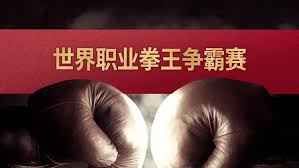 世界职业拳王争霸赛}