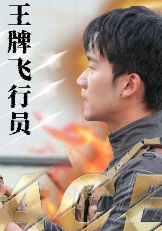 王牌飞行员}