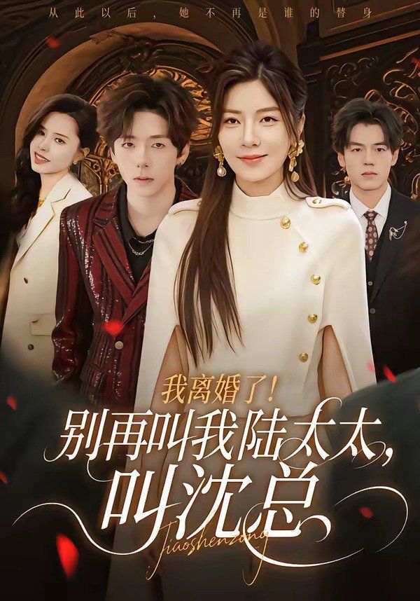 我离婚了！别再叫我陆太太，叫沈总}