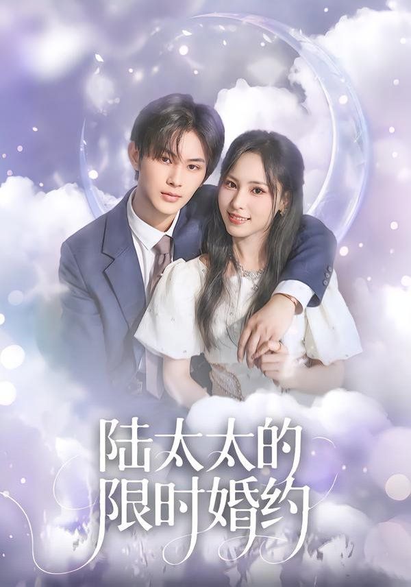 陆太太的限时婚约}