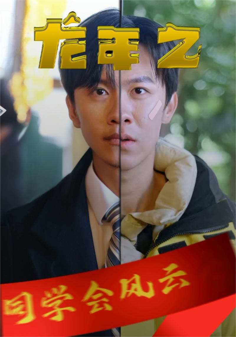 龙年之同学会风云}