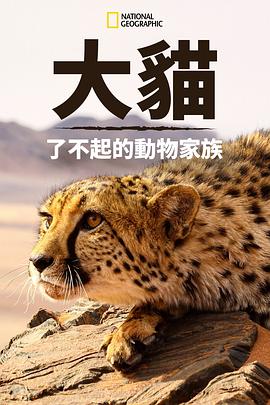 猫科动物：奇妙的动物家族}