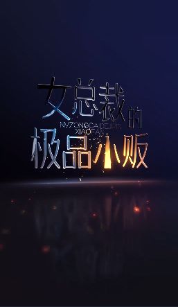 女总裁的极品小贩}