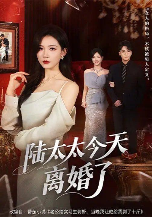 陆太太今天离婚了}
