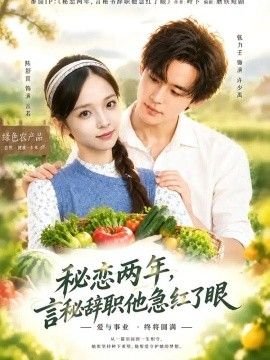 秘恋两年，言秘辞职他急红了眼