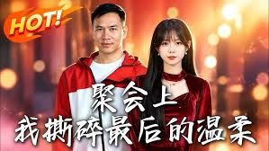 聚会上，我撕碎最后的温柔}