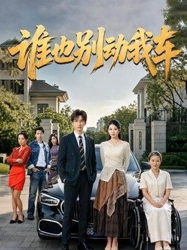 谁也别动我车}