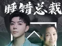 睡错总裁狂宠妻}