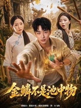金鳞不是池中物海报