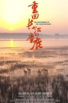 重回长江的麋鹿}
