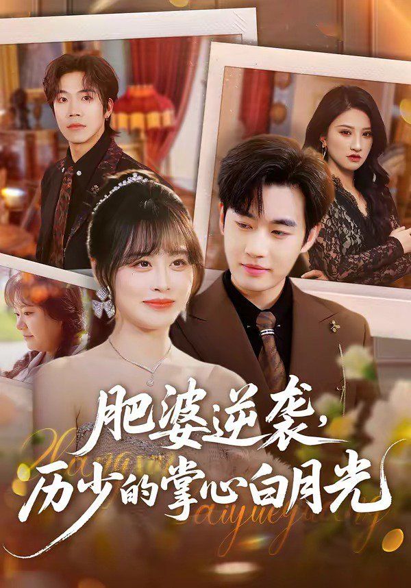 肥婆逆袭，历少的掌心白月光}