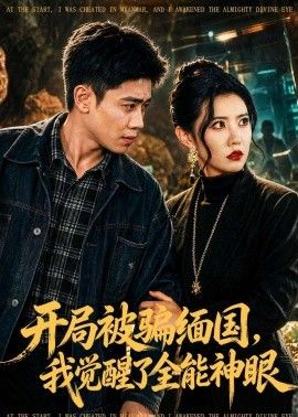 开局被骗缅国，我觉醒了全能神眼}