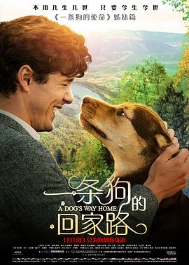 一条狗的回家路（原声版）}