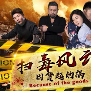 扫毒风云之因货起的祸}