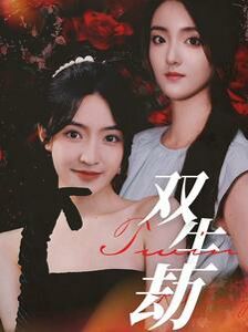 双生劫}