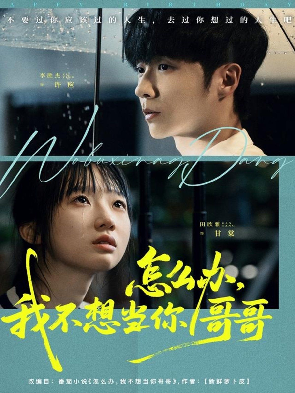 怎么办，我不想当你哥哥}
