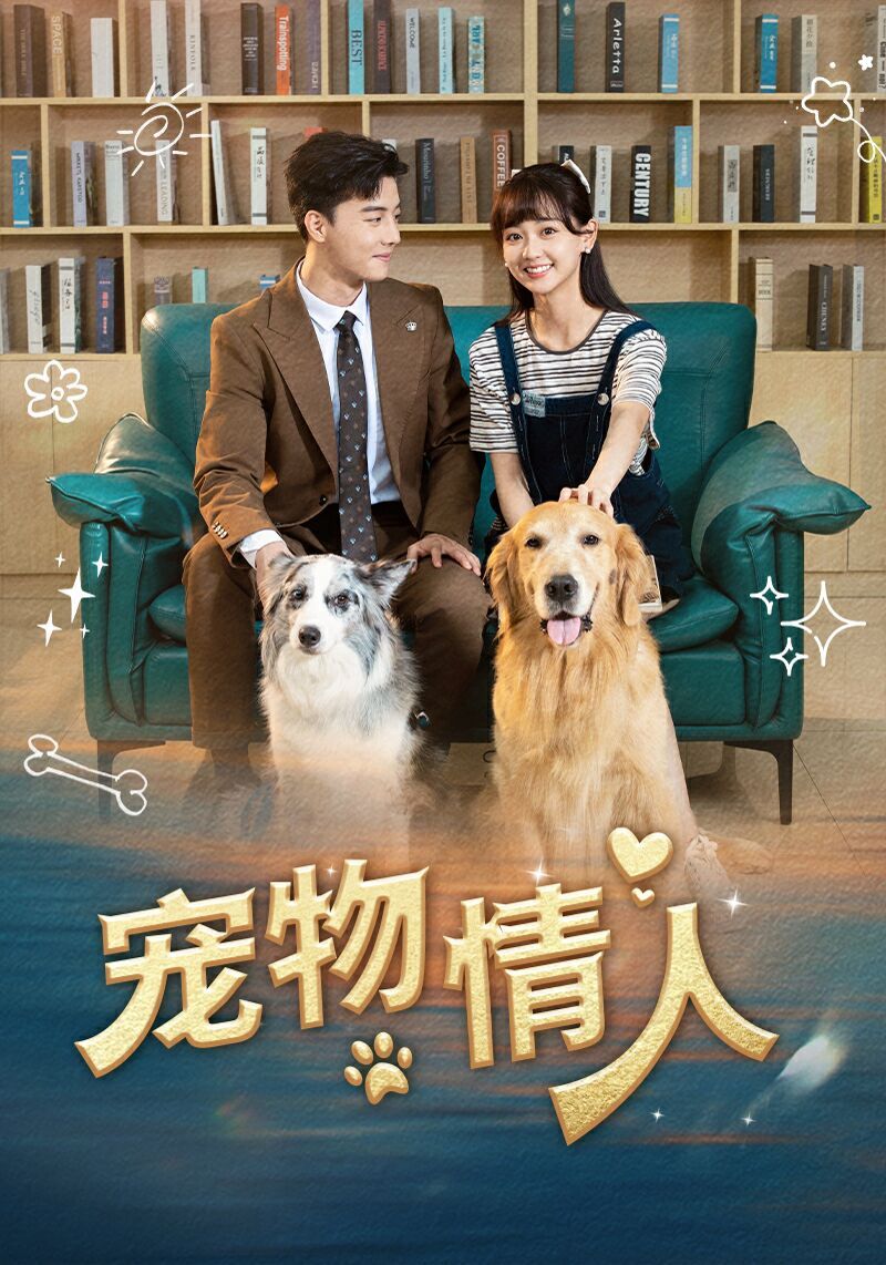 宠物情人}