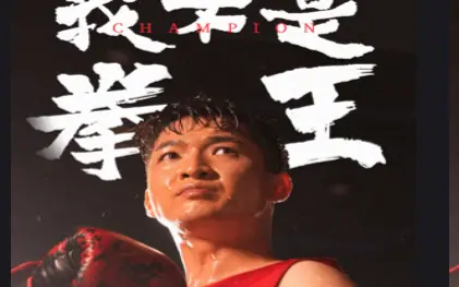 我不是拳王}