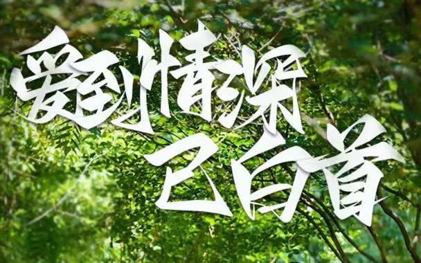 爱到情深已白首}
