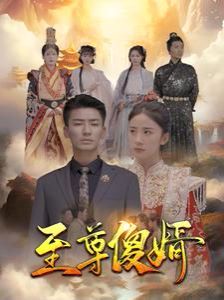 至尊傻婿}
