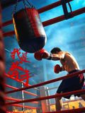 我是拳手}