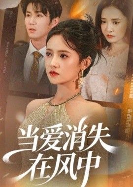 当爱消失在风中}