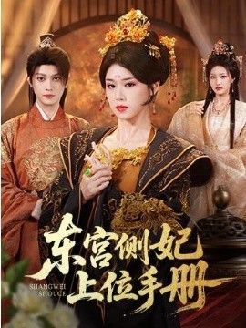东宫侧妃上位手册}