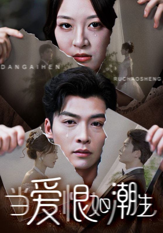 当爱恨如潮生}