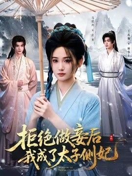 拒绝做妾后我成了太子侧妃（一纸离人愁）