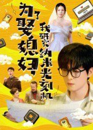 为了娶媳妇我研究纳米光刻机}