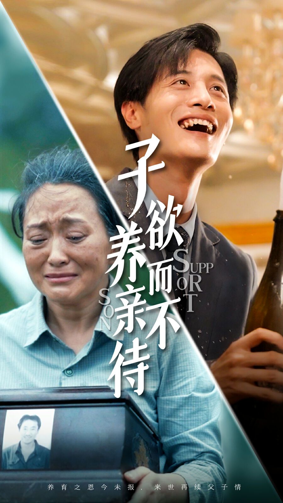 子欲养而亲不待}