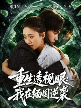 重生透视眼：我在缅国逆袭}