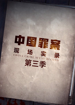 罪案现场实录 第三季}