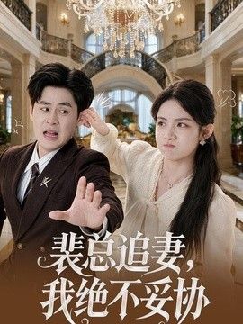 裴总追妻，我绝不妥协