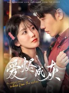 爱烬成灰}
