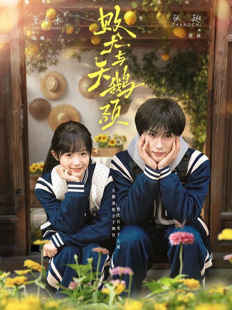 败犬与天鹅颈}