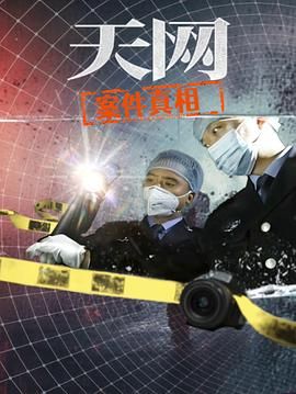 天网：案件真相}