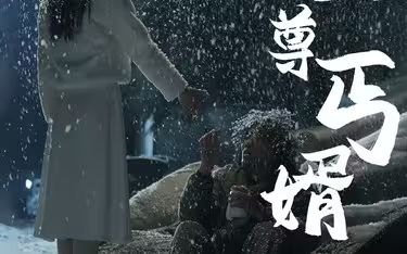 至尊丐婿}