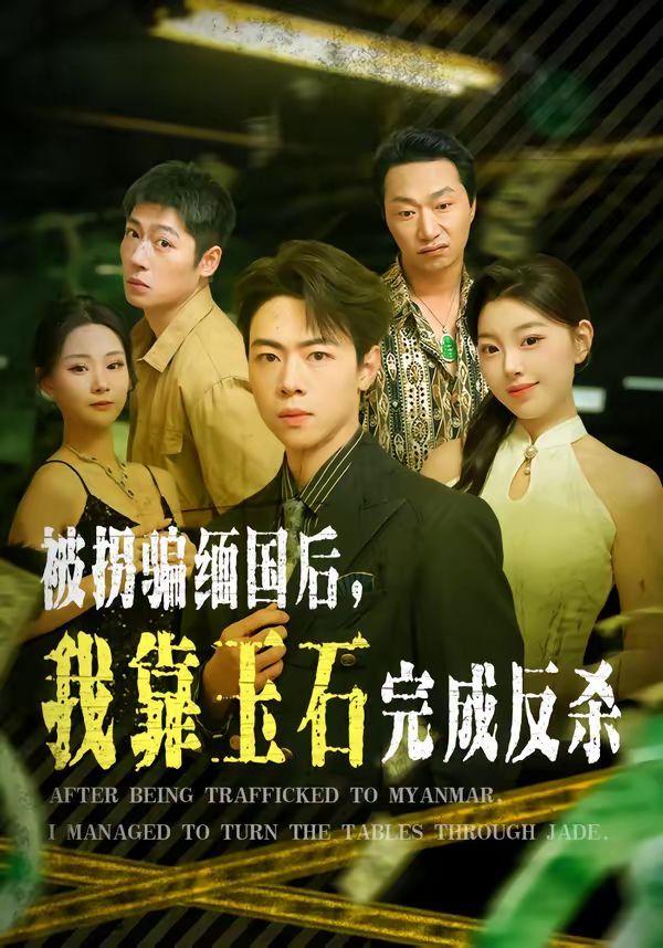被拐骗缅国后，我靠玉石完成反杀}