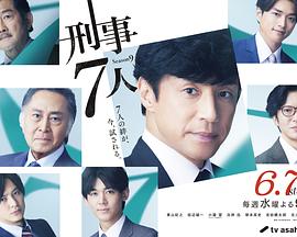 刑事7人 第九季}