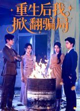 重生后我掀翻骗局}