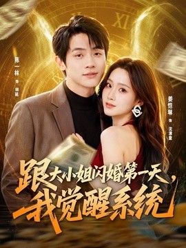 跟大小姐闪婚第一天，我觉醒系统
