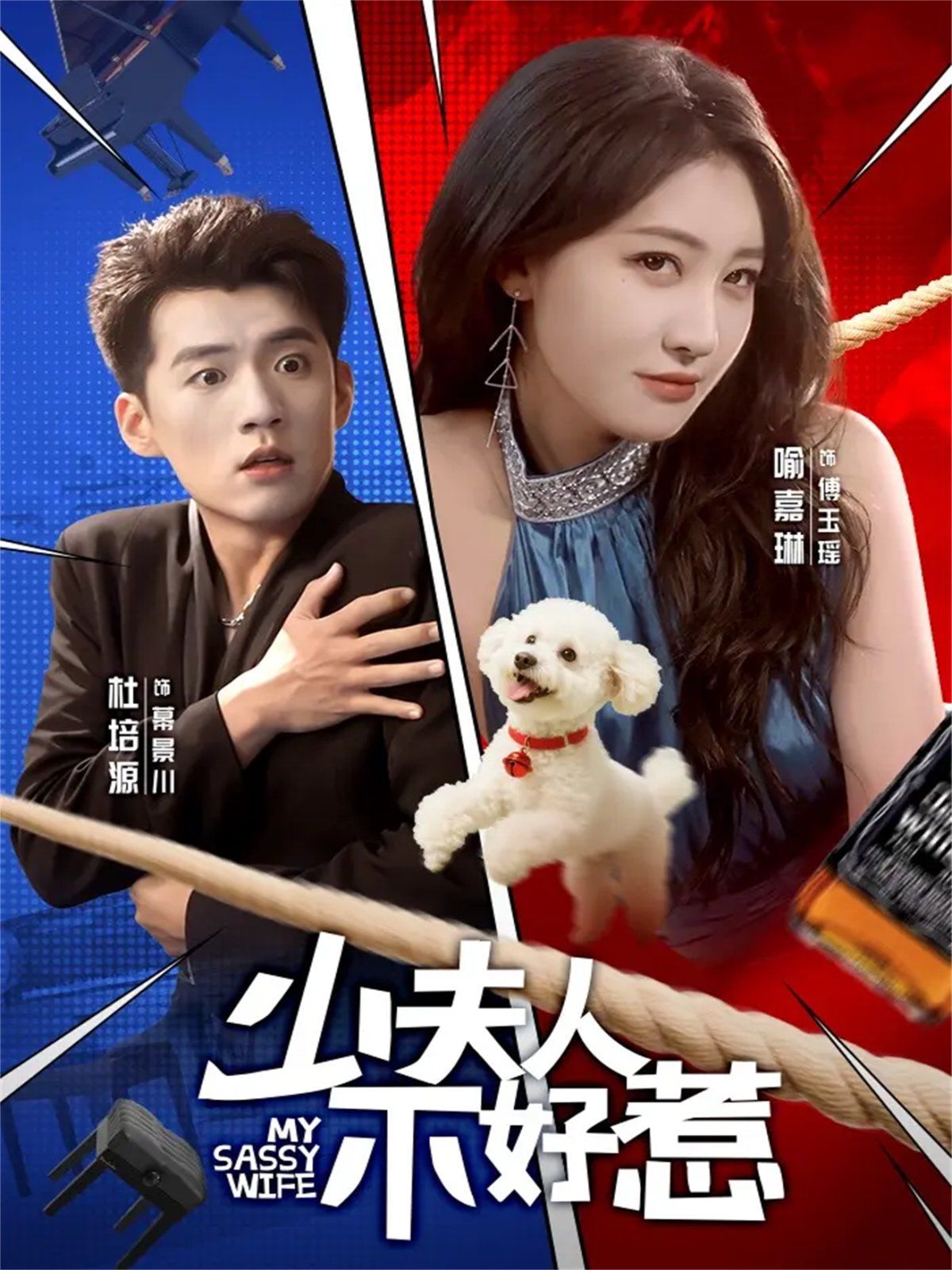 少夫人不好惹}