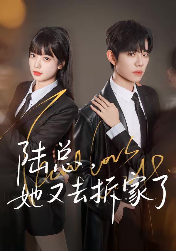 陆总，她又去拆家了}