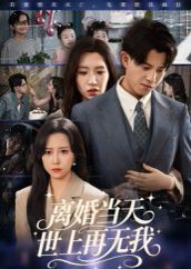离婚当天世上再无我}