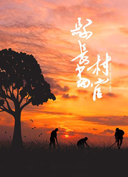 县长当村官}