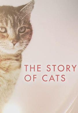 猫科动物的故事}