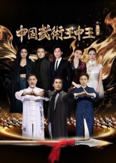 中国武术王中王第二季}