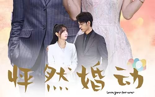 怦然婚动}