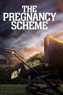 The Pregnancy Scheme}